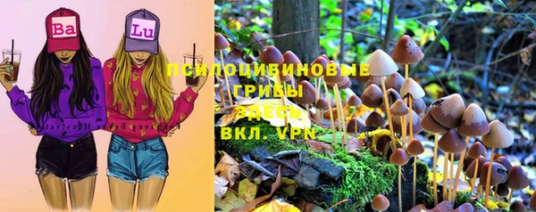 ALPHA PVP Козловка