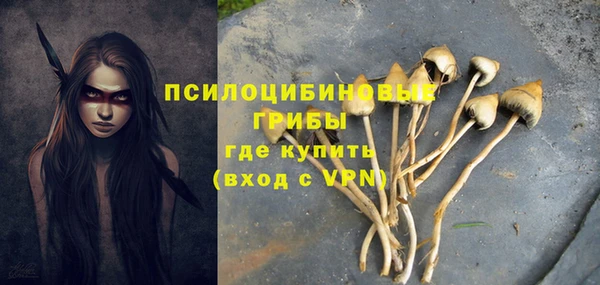 кокс Козельск